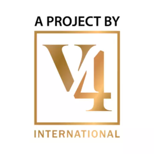 V4 International