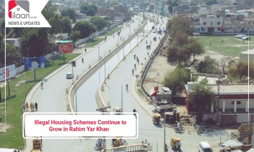 Illegal Housing Schemes Continue to Grow in Rahim Yar Khan 