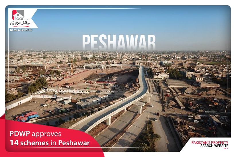 PDWP approves 14 schemes in Peshawar