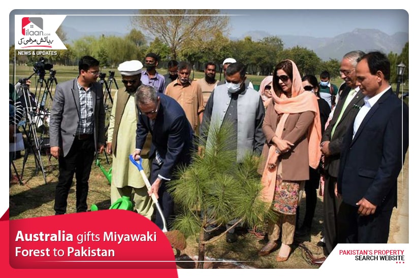 Australia gifts Miyawaki Forest to Pakistan 