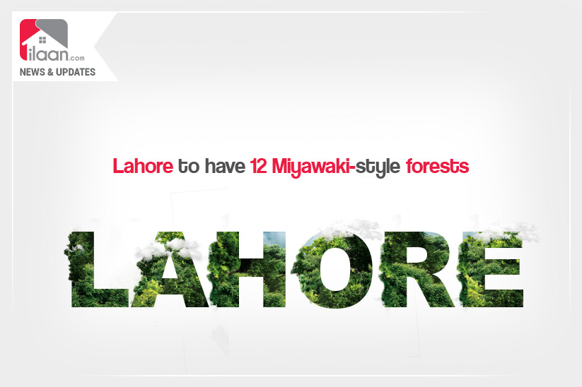 Lahore to have 12 Miyawaki-style forests
