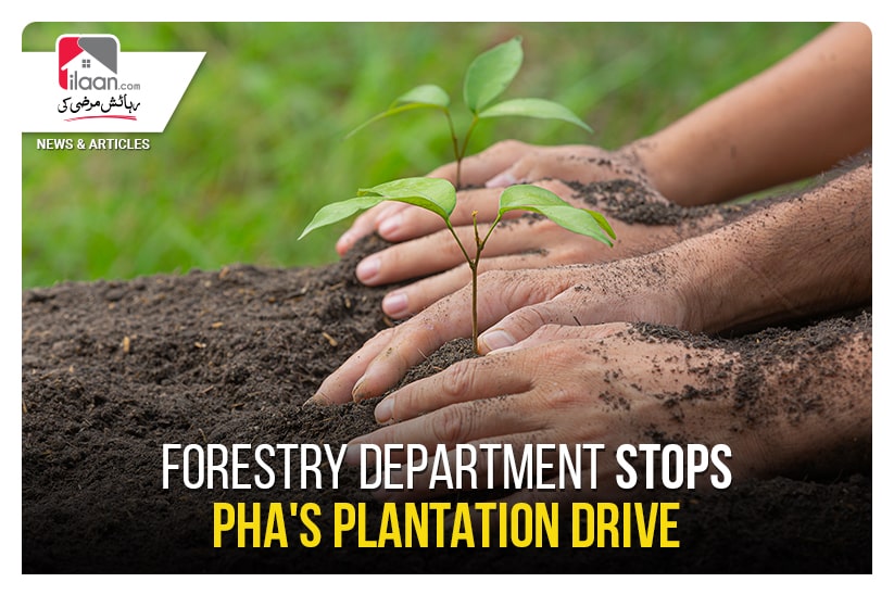 Forestry Department stops PHA's plantation drive