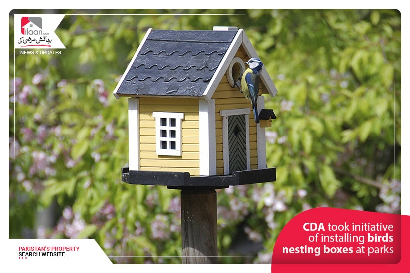 CDA took initiative of installing birds nesting boxes at Parks