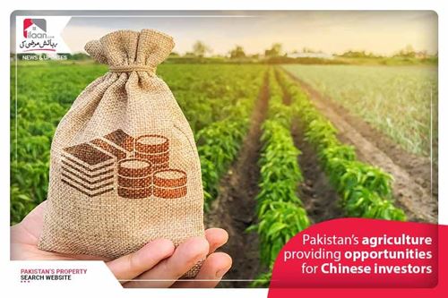 Pakistan’s agriculture providing opportunities for Chinese investors