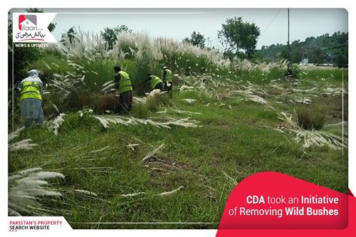 CDA took an Initiative of Removing Wild Bushes