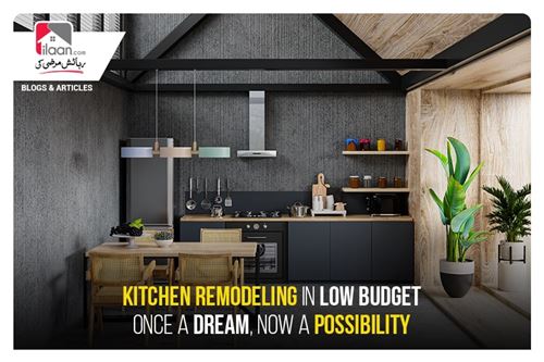 Kitchen Remodelling in Low Budget - Once a Dream, Now a Possibility