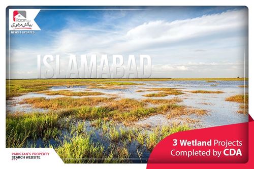 3 Wetland Projects Completed by CDA