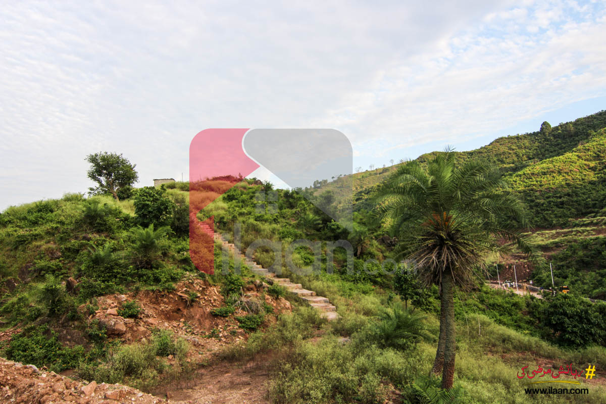 BAROHA Farms (PVT) Ltd