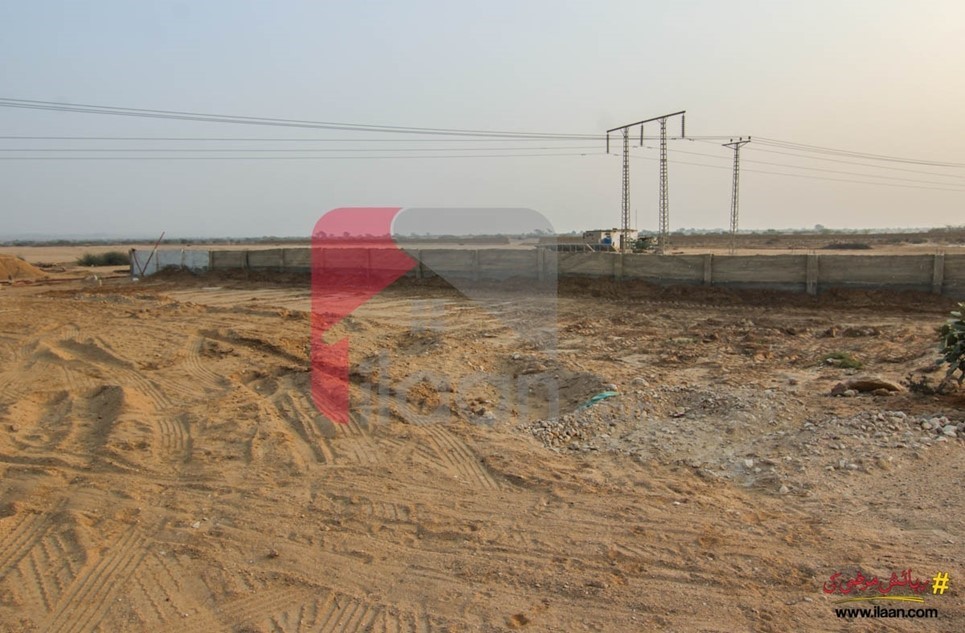 500 ( square yard ) plot for sale in Sindh Employees Housing Scheme, Karachi