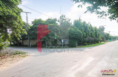 2 Kanal Plot (Plot no 100) for Sale in Block E, Phase 1, DHA Lahore