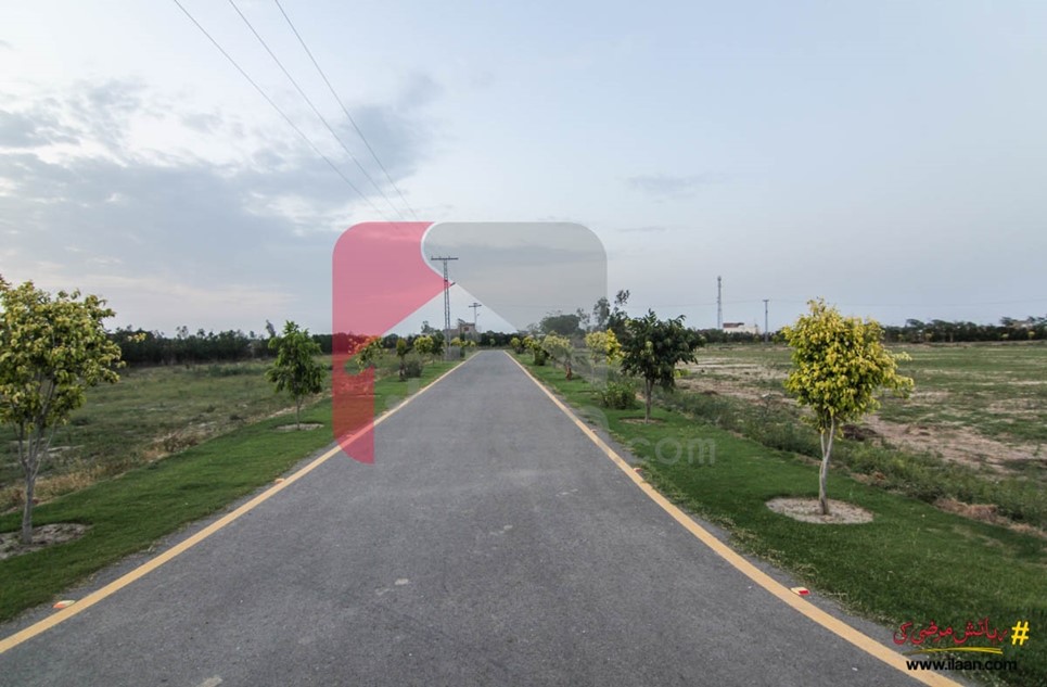 6 kanal plot for sale in Barki Hadyara, Lahore