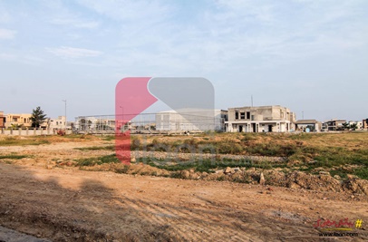 5 Marla Plot (Plot no 1253) for Sale in Block E Extention, Phase 6, DHA Lahore