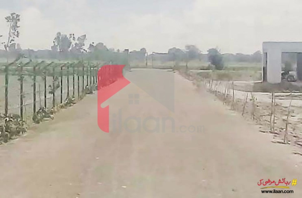 4 kanal farmhouse for sale in on Bedian Road, Lahore