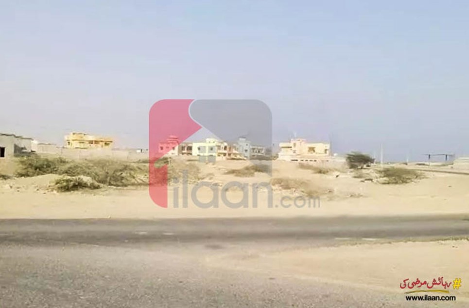 500 ( square yard ) plot for sale in Phase 1, New Town Housing Scheme, Gwadar