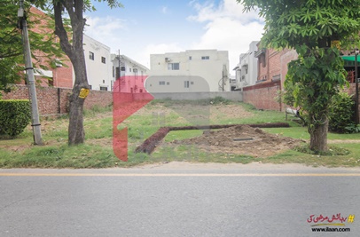 1 Kanal 9 Marla  Plot (Plot no 51/1) for Sale in Block M, Phase 1, DHA Lahore