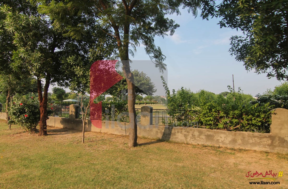 1 kanal plot ( Plot no 278 ) for sale in Block H, Phase 6, DHA, Lahore