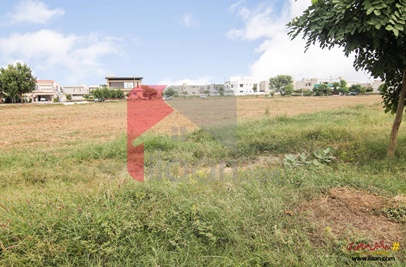 2 Kanal Plot (Plot no 185+86) for Sale in Block E, Phase 6, DHA, Lahore