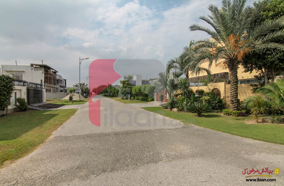 1 kanal plot ( Plot no 102 ) for sale in Block G, Phase 6, DHA, Lahore