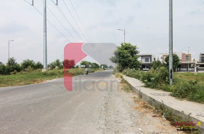 2 Kanal Plot (Plot no 443) for Sale in Block F, Phase 6, DHA, Lahore
