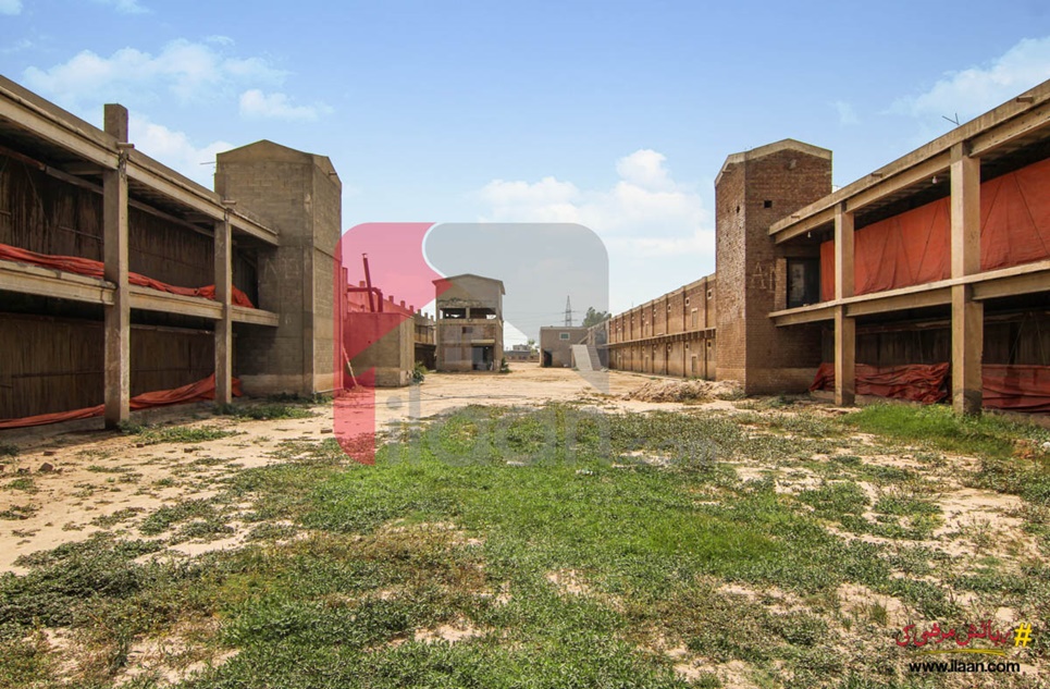 24 kanal poultry shed for sale near Al-Karam Paper Mill, Baddo Murade, Sheikhupura