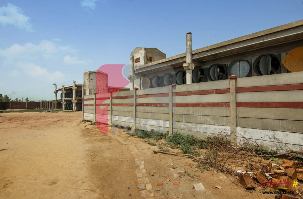 24 Kanal Poultry Shed for Rent near Al-Karam Paper Mill, Baddo Murade, Sheikhupura