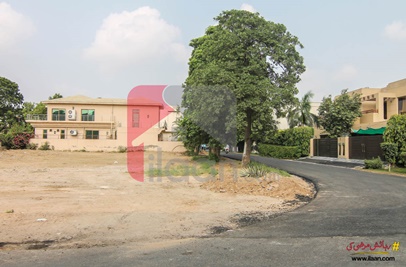 1 Kanal Plot (Plot no 175) for Sale in Block P, Phase 1, DHA Lahore