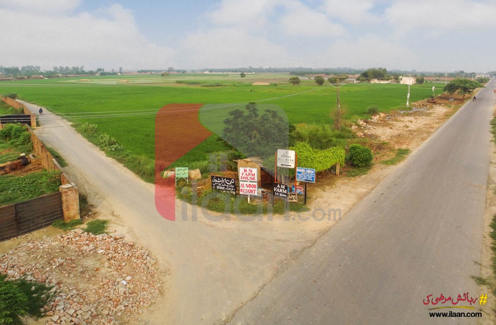 3 kanal farmhouse land for sale in Ivy Farmz, Barki Road, Lahore