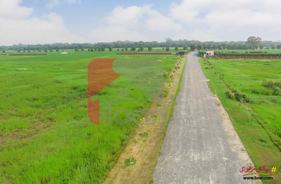 4 kanal farmhouse land for sale in Ivy Farmz, Barki Road, Lahore
