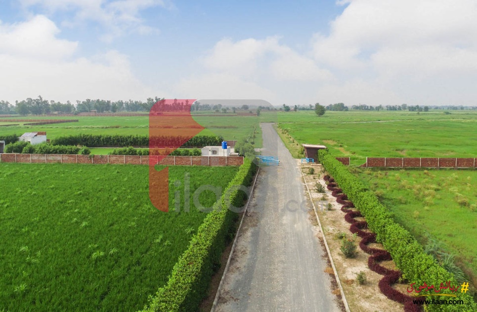 6 kanal farmhouse land for sale in Ivy Farmz, Barki Road, Lahore