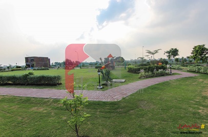 1 kanal Plot on File for Sale in Phase 2, Etihad Town, Lahore
