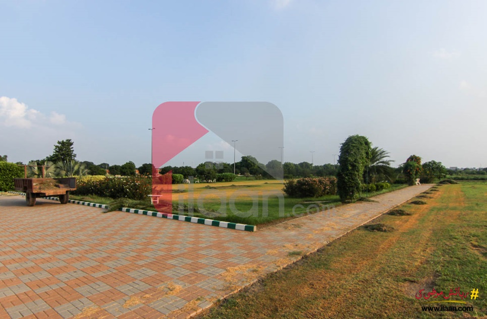 6 Marla Commercial Plot for Sale in Etihad Town, Lahore
