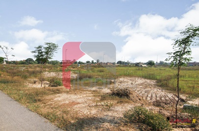 1 Kanal Plot (Plot no 850) for Sale in Block P, Phase 7, DHA Lahore