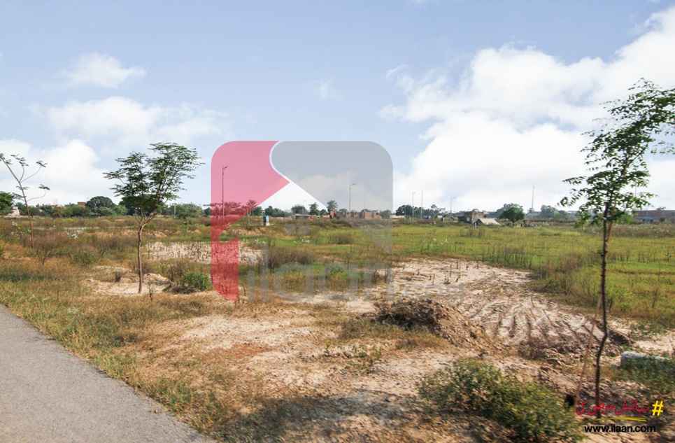 1 kanal plot ( Plot no 704 ) for sale in Block P, Phase 7, DHA, Lahore
