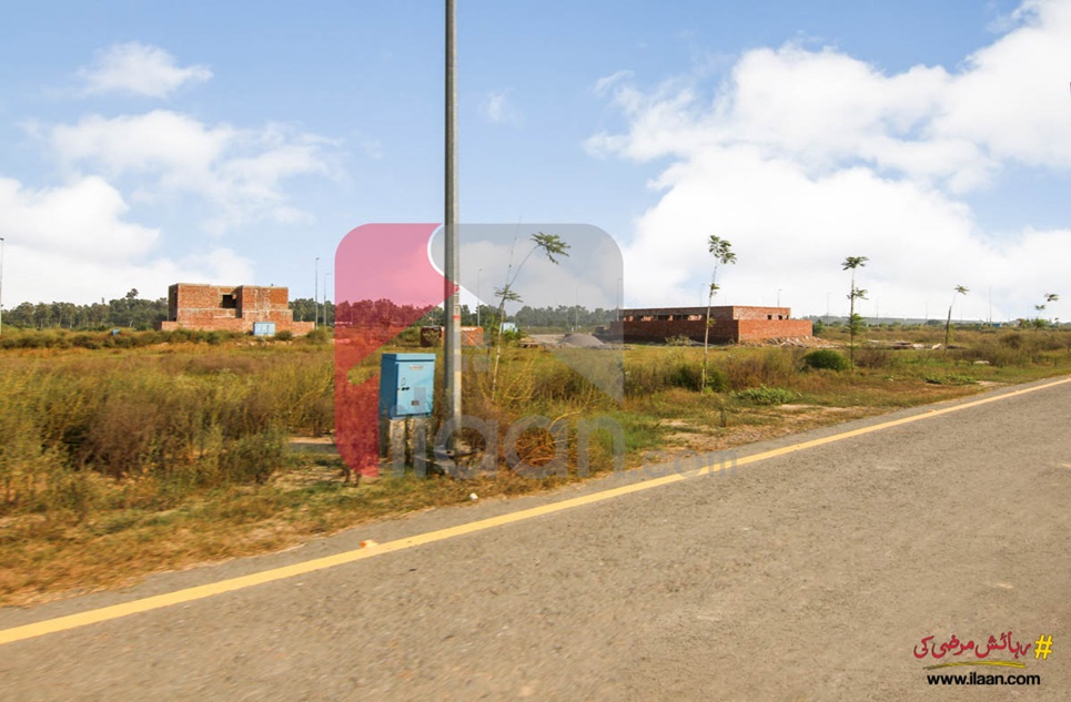 1 Kanal Pair Plots (Plot no 1240+1241) for Sale in Block U, Phase 7, DHA Lahore