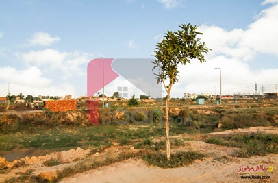1 Kanal Plot (Plot no 501) for Sale in Block U, Phase 8, DHA Lahore