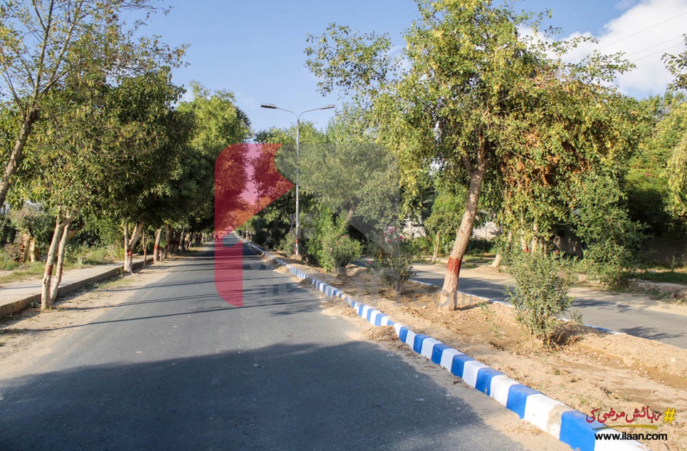7 marla plot for sale in Government Employees Cooperative Housing Society, Bahawalpur