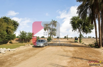 5 marla plot ( Plot no C 27 ) for sale in Al-Raheem City & Paradise City, Jhangi Wala Road, Bahawalpur