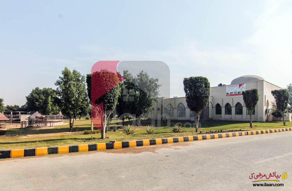 2 Marla Office for Sale in Block Q, Khayaban-e-Amin, Lahore