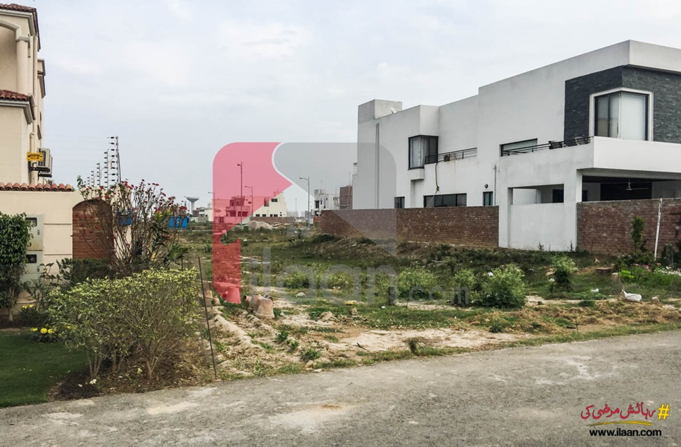 1 kanal plot ( Plot no 440 ) for sale in Block M, Phase 6, DHA, Lahore