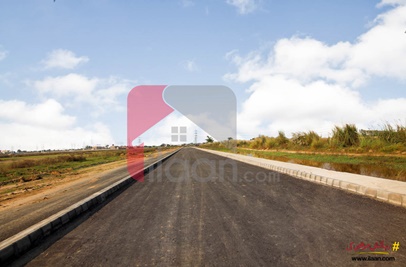 5 Marla Plot (Plot no 713) for Sale in Block Z6, Phase 8, DHA Lahore