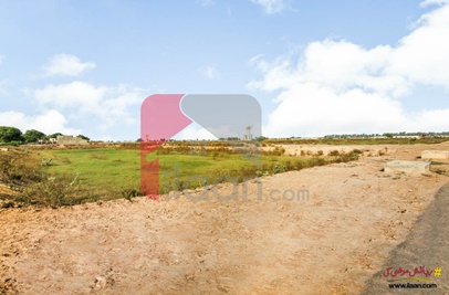 5.5 Marla Plot for Sale in Block Z5, Phase 8 - Ivy Green, DHA Lahore