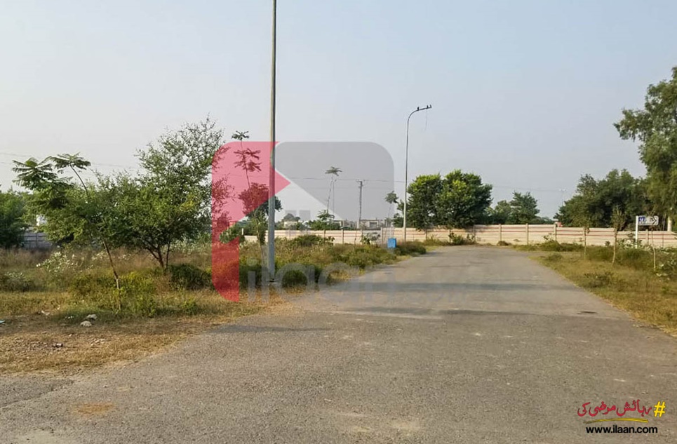 1 kanal plot ( Plot no 446 ) for sale in Block M, Phase 5, DHA, Lahore