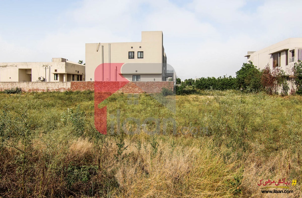 1 Kanal Pair Plots (Plot No 322+323) for Sale in Block G, Phase 6, DHA Lahore