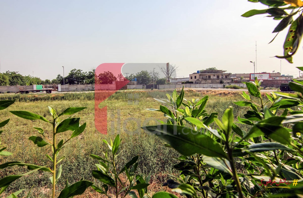 1 Kanal Plot (Plot No 452) for Sale in Block A, Phase 6, DHA Lahore