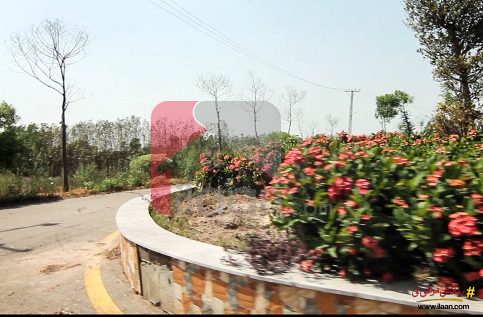 4.8 Kanal Plot for Sale in The Streamlate Farmhouse, Barki Road, Lahore