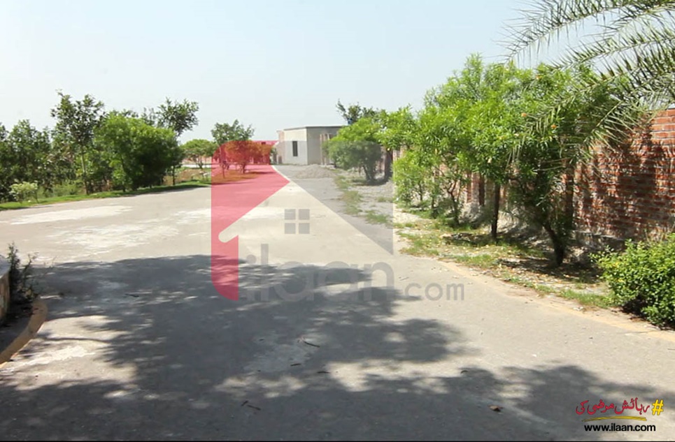 4.8 Kanal Plot for Sale in The Streamlate Farmhouse, Barki Road, Lahore