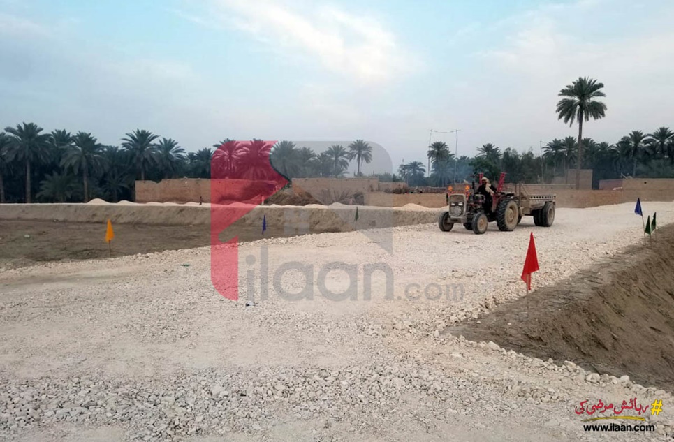 250 Sq.yd Plot for Sale in Phase 2, Shah Hussain, Khairpur