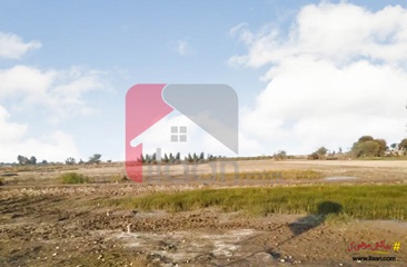 260 Sq.ft Commercial Plot for Sale in Zam Zam Defence Colony, Shikarpur Road, Sukkur