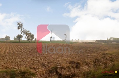 480 Kanal Agricultural Land for Sale on Noor Shah Road, Sahiwal