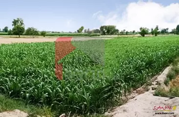 16 Kanal Commercial Plot for Sale in Qadirabad, Sahiwal